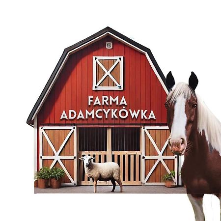 Apartamenty Adamcykowka Blisko Velo Czorsztyn! Kluszkowce Exterior foto