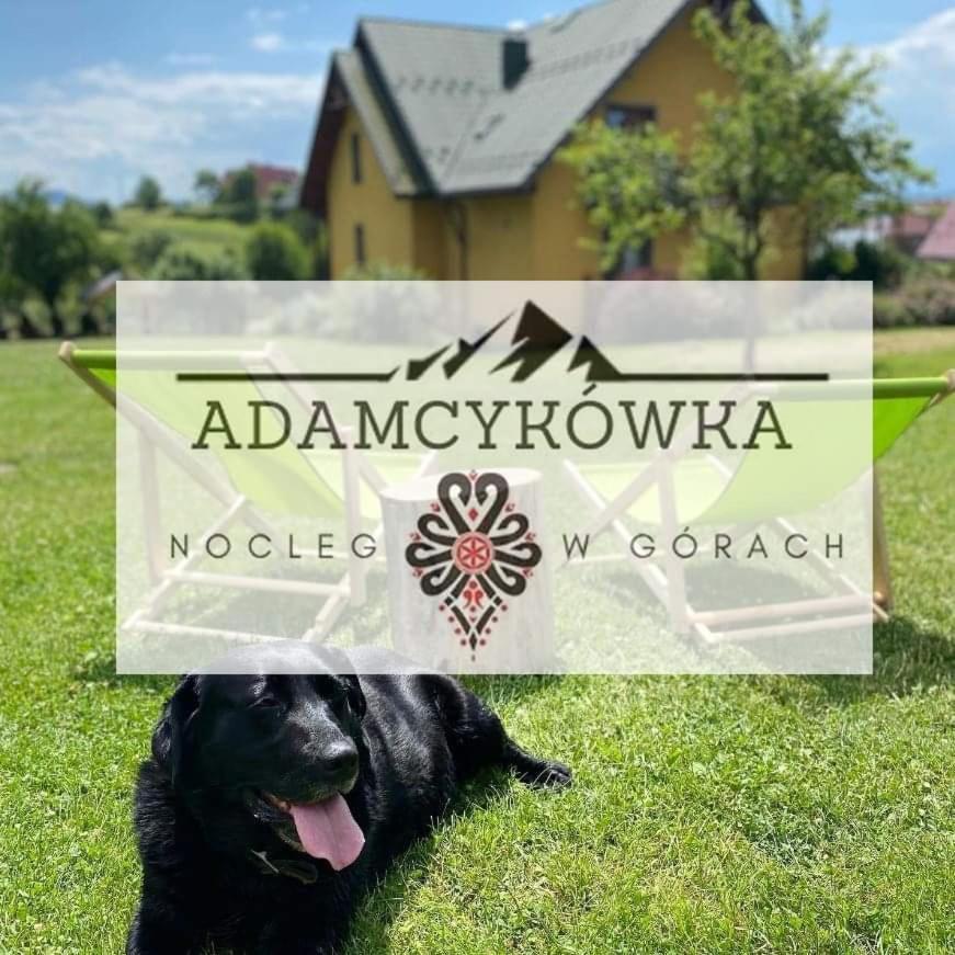 Apartamenty Adamcykowka Blisko Velo Czorsztyn! Kluszkowce Exterior foto