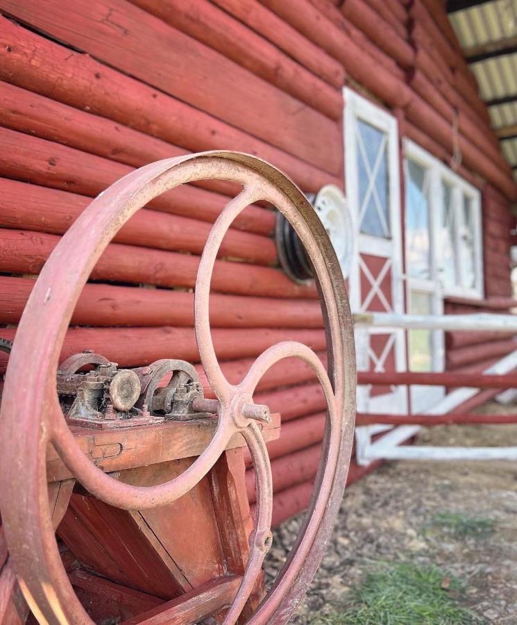 Apartamenty Adamcykowka Blisko Velo Czorsztyn! Kluszkowce Exterior foto
